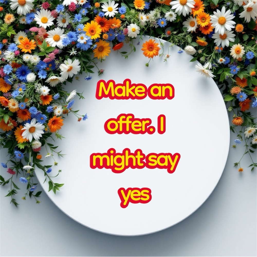 IF YOU DONT LIKE THE PRICE MAKE A REASONABLE OFFER